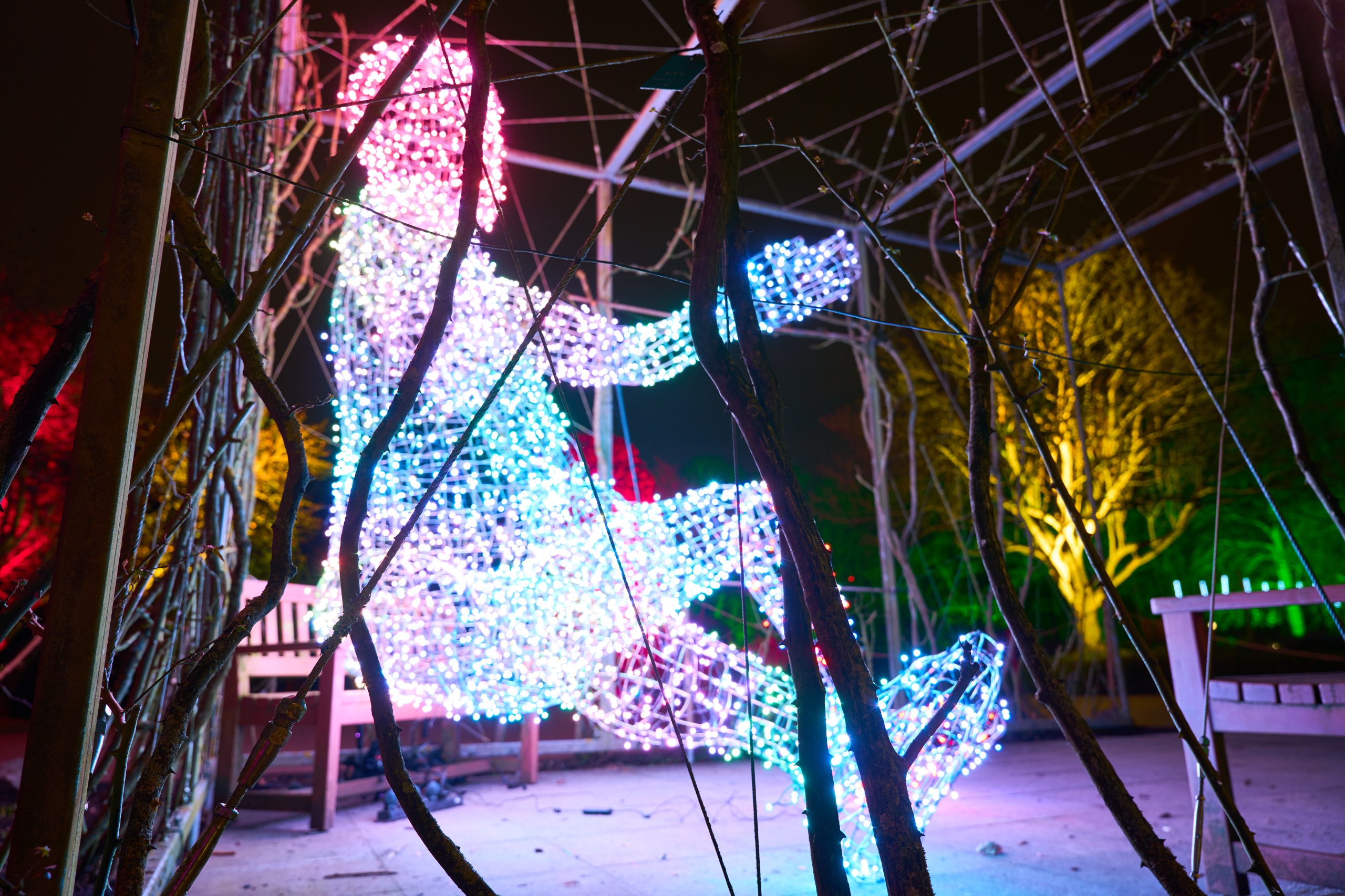 2026 02 05 Parkleuchten 0432